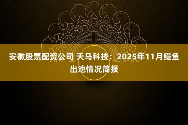 安徽股票配资公司 天马科技:2025年11月鳗鱼出池情况简报